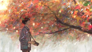 枫树的思念