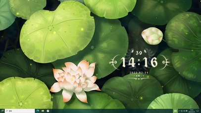 4k温馨夏日荷花