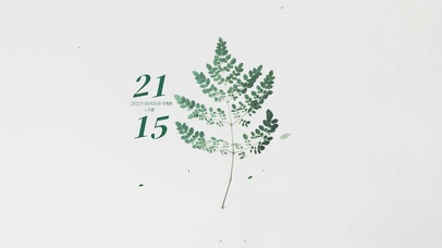 4k高清简约小清新ins风格