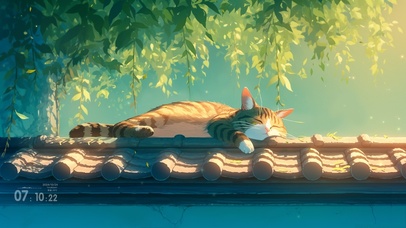 房檐上的小猫咪