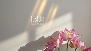 4k极简高级荷花桌面