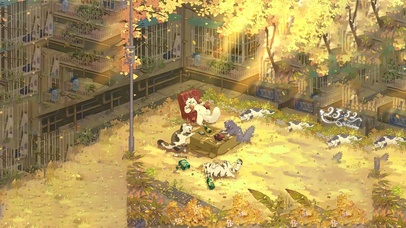 治愈可爱空地喝酒玩耍的小猫咪