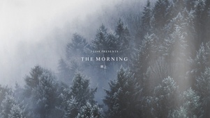 the morning