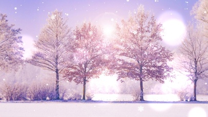 雪下得那么认真