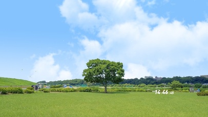 4K唯美治愈春天田野