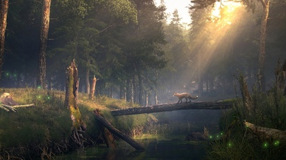 迷途的路没有归宿