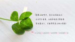 极简ins风格清醒语录桌面