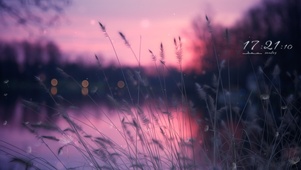 4k治愈唯美夕阳草丛