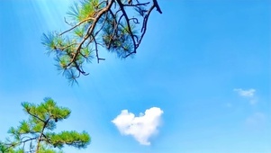 爱心云  壁纸