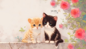可爱两小只猫