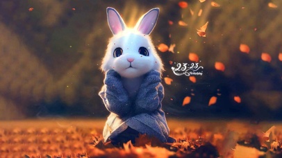 治愈可爱秋季毛衣小兔叽