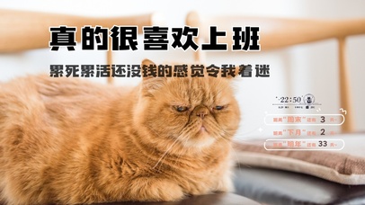 猫咪打工人桌面