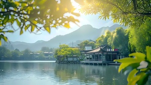 4k绿荫下湖泊
