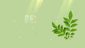 4k绿色护眼清新绿植桌面