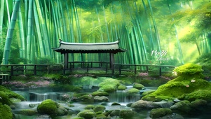 4k仙居竹林