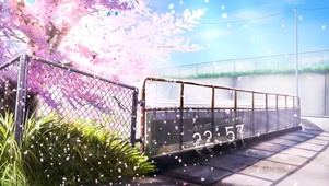 唯美治愈樱花街道