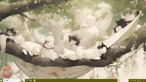 树上猫咪