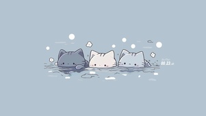 爱泡澡的小猫