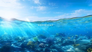 蓝色珊瑚海