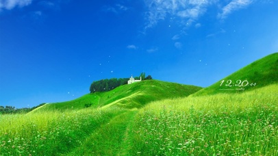 4K清晨治愈护眼田野