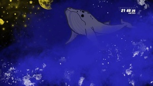 星空鲸