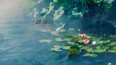 4k 治愈梦幻荷花池