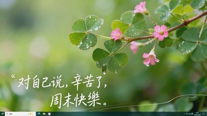 护眼小清新桌面主题