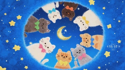 猫咪的梦幻星空