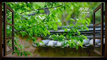 屋外雨中绿叶