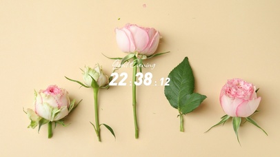 简约小清新桌面