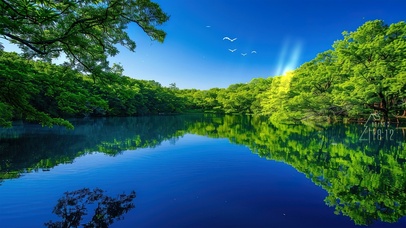 静怡护眼绿树湖景鸟鸣