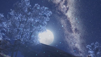 月圆之夜的静谧