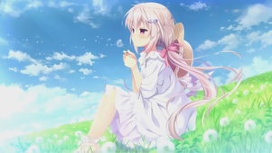 蒲公英约定