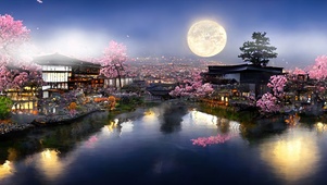 樱花古镇夜