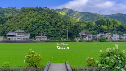 4K唯美治愈夏日绿色乡间