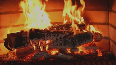 太冷了！ 快来烤火啦！