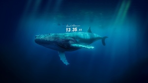 4K·鲸歌