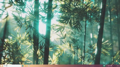 阳光下的竹林——【主题桌面】