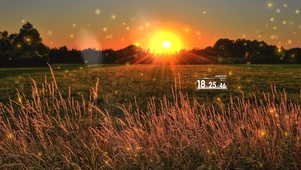 夕阳下的草地