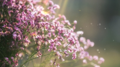 4k 清新夏天的气息