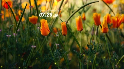 4k高清治愈风景系列