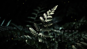4k森林绿植风景