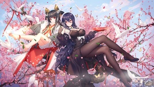 樱花
