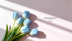 ins小清新郁金香