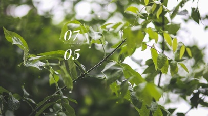 4k治愈护眼风景桌面