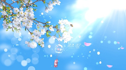 4k 治愈唯美春意樱花风铃