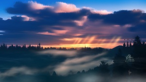 治愈夕阳森林