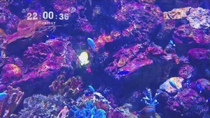 海底