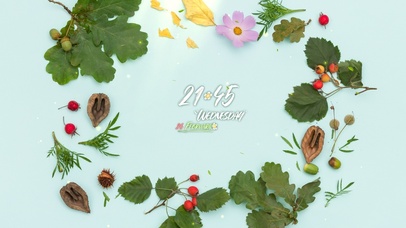 简约清新花草壁纸