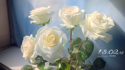 清新治愈白色玫瑰